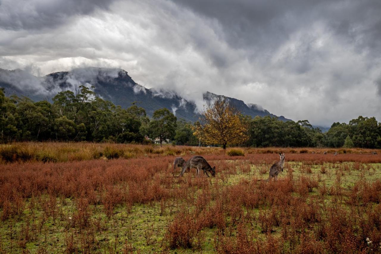 Halls Gap Lakeside Tourist Park Exterior photo